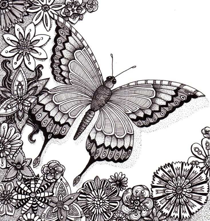 Bloemen Vlinders Kleurplaat Bloemen Volwassenen