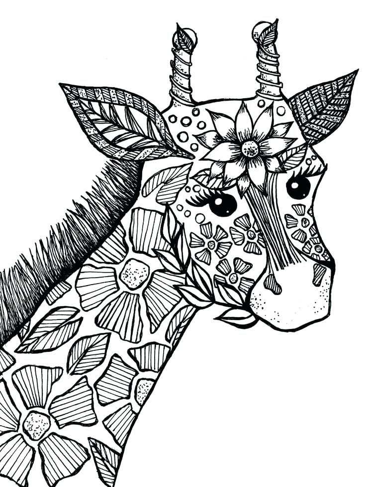 Coloring Pages Kleurplaat Mandala Dieren
