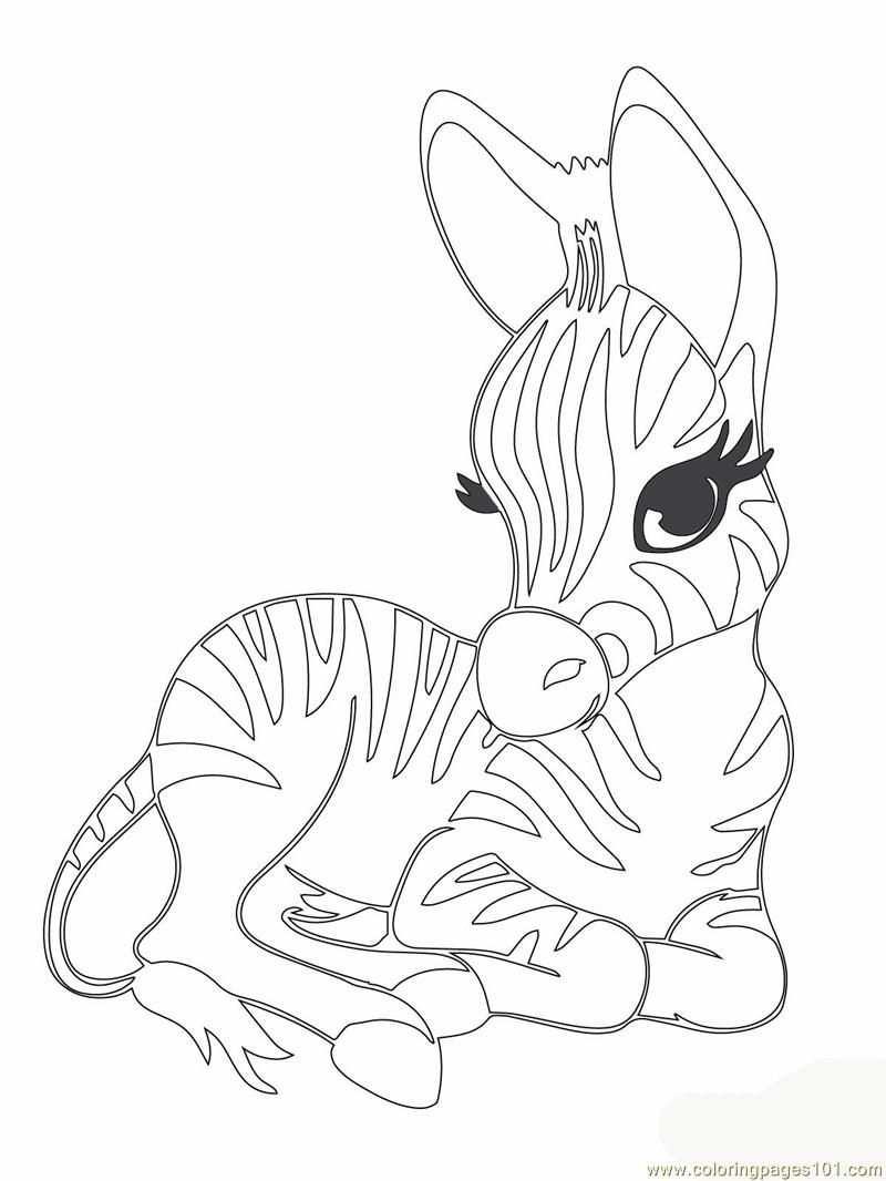 Cute Baby Zebra Coloring Page Free Printable Coloring Pages