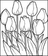 Tulpen Kleurplaat Gratis Kleurplaten Met Afbeeldingen