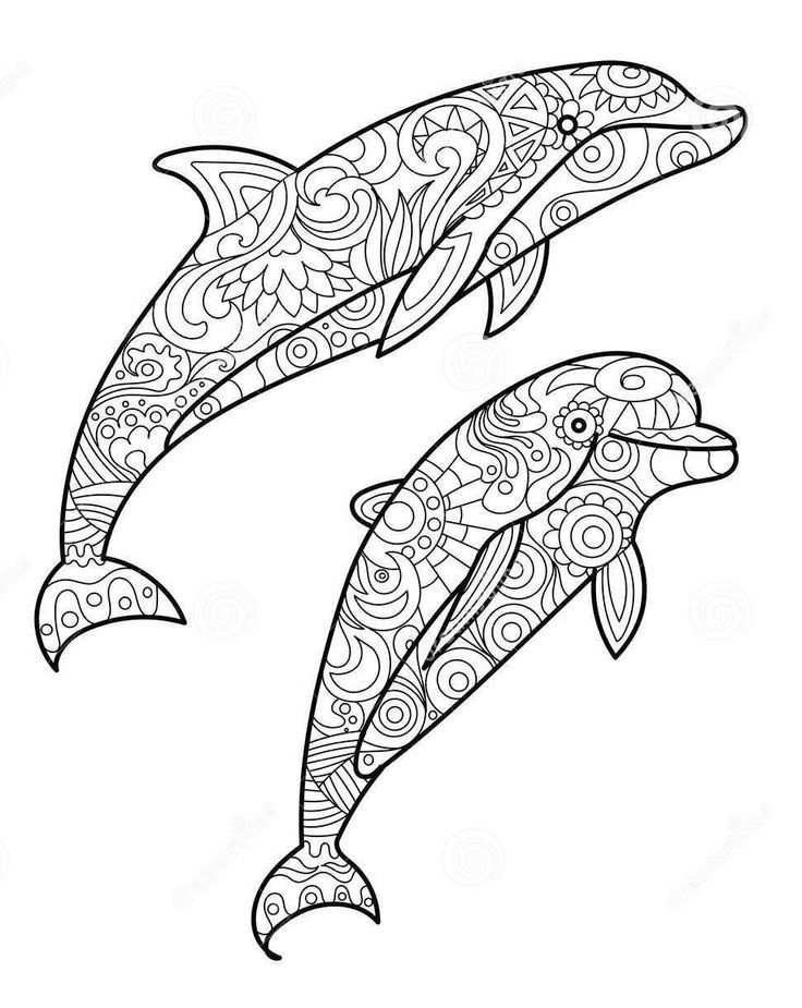 Zentangle Dolphin Drawing Dolphin Drawing Dolphin Coloring