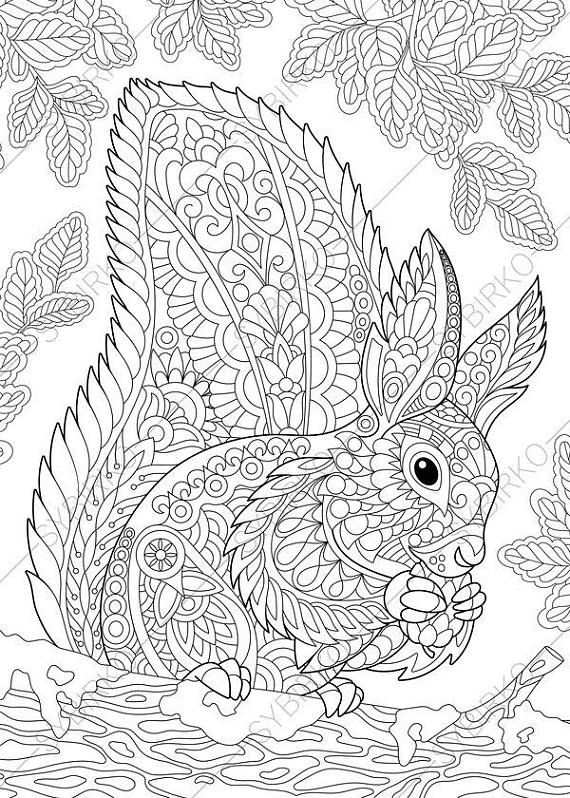 Coloring Pages For Adults Squirrel Adult Coloring Pages Animal