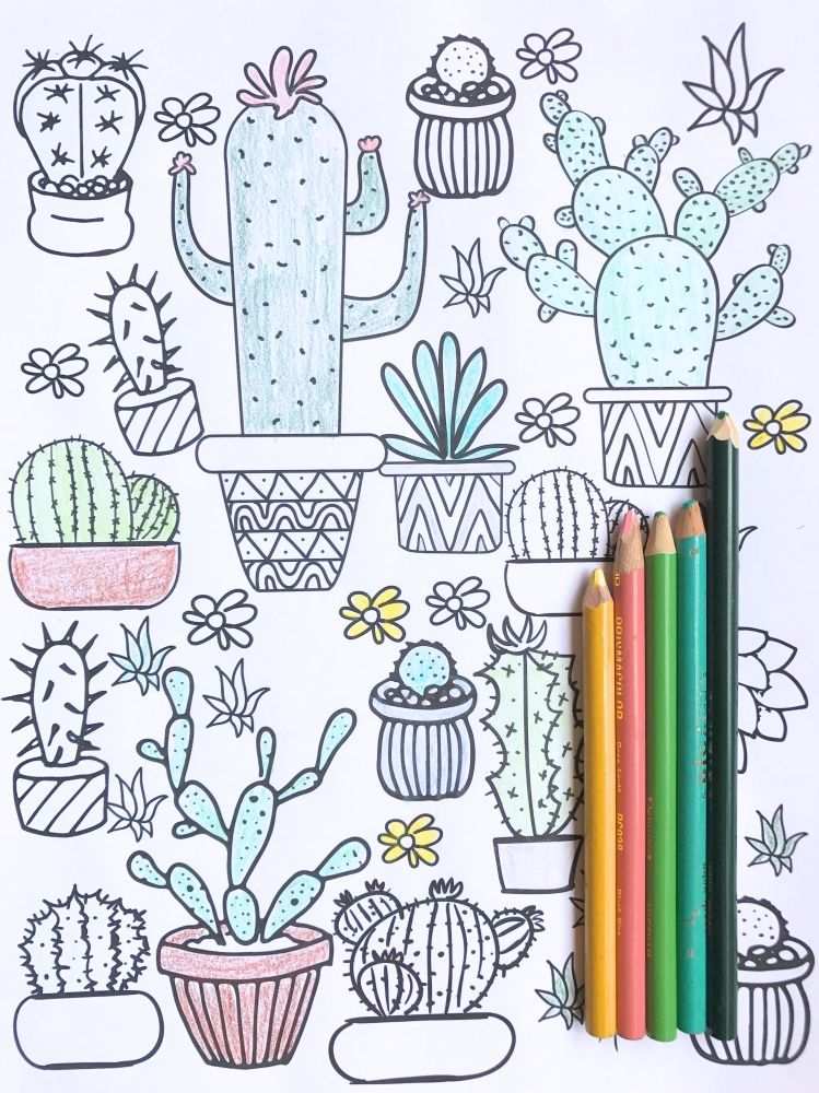 Cactus Coloring Pages With Images Coloring Pages Cactus