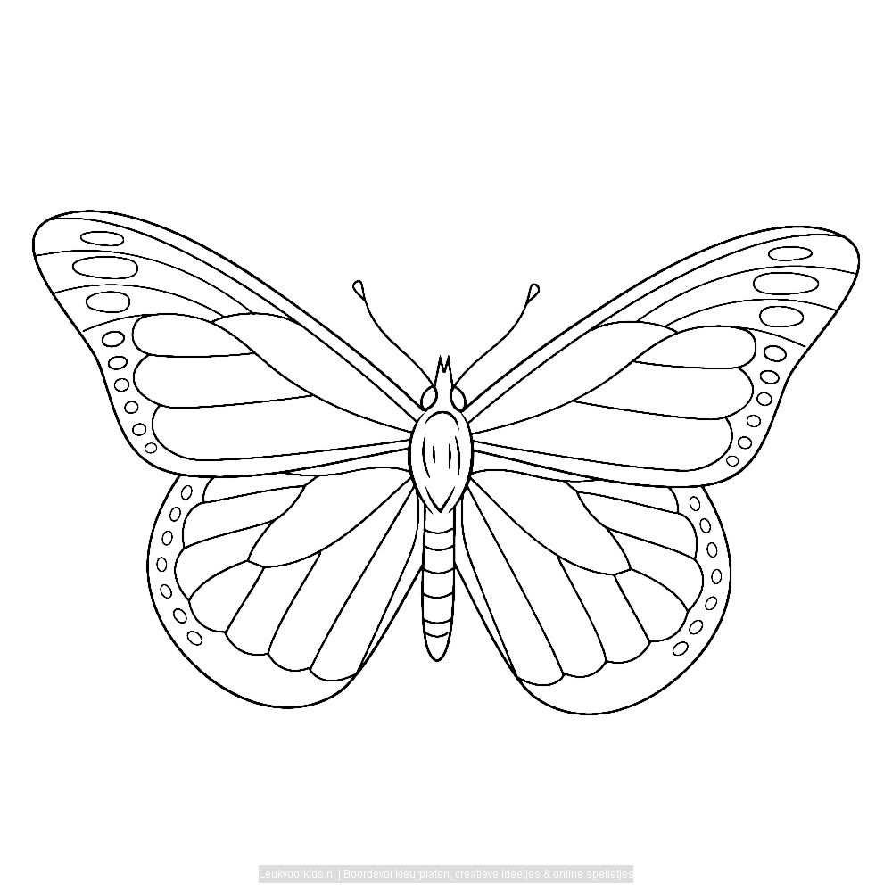 Afbeeldingsresultaat Voor Vlinder Kleurplaat Volwassenen