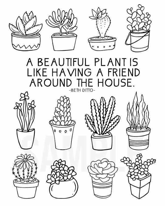 Cactus And Succulent Printable Adult Coloring Pages Easy