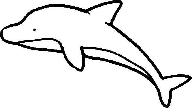 Kleurplaat Dolfijn Vissen Tekenen Leeuw Tekening Dolfijnen