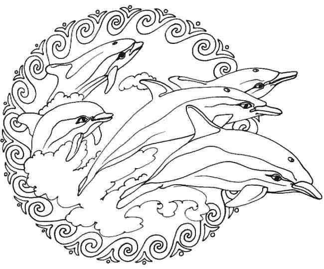 Dolfijnen Mandala Met Afbeeldingen Mandala Kleurplaten