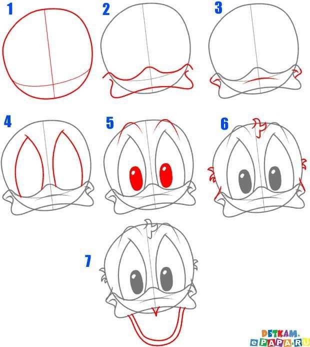 Afbeeldingsresultaat Voor Donald Duck Tekenen In Stappen