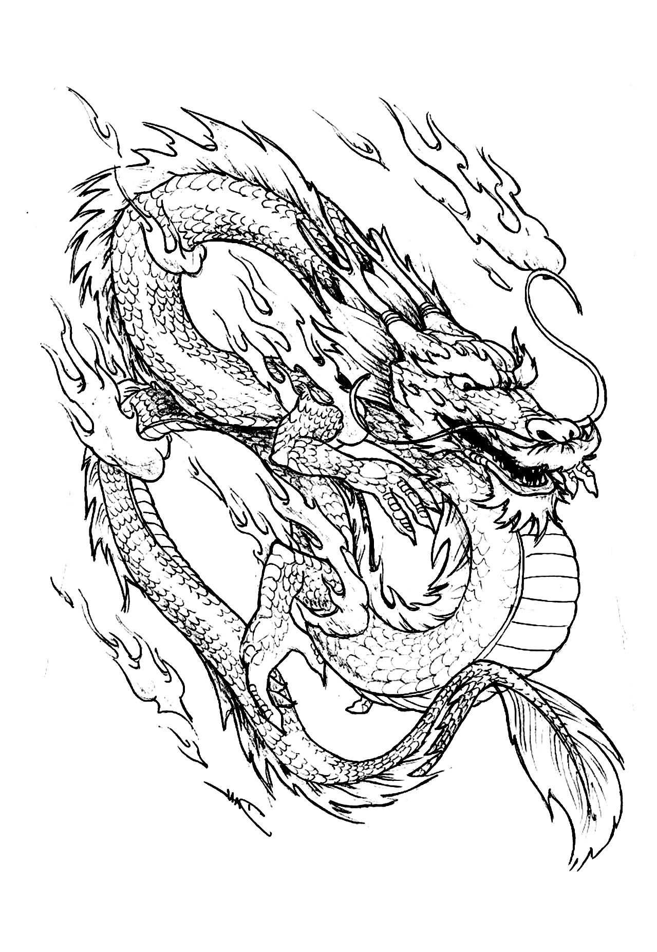 Chinese Dragon China Asia Coloring Pages For Adults Just