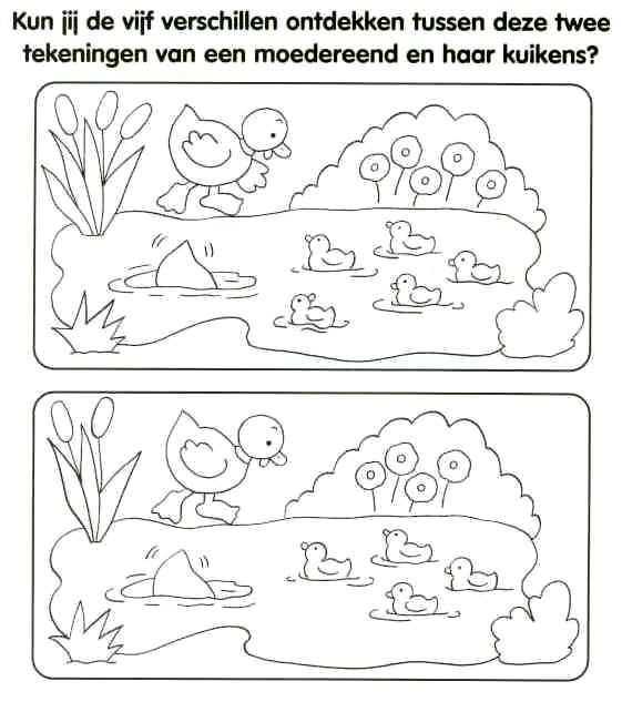 Werkblad Visueel Waarnemen Eenden Eenden Thema Kleurplaten