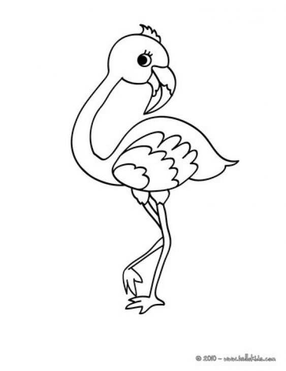 Flamingos Kleurplaten Kleurboek Flamingo Knutselen