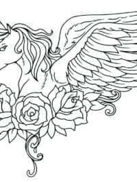 Top Rated Printable Flamingo Head Coloring Pages Flamingo