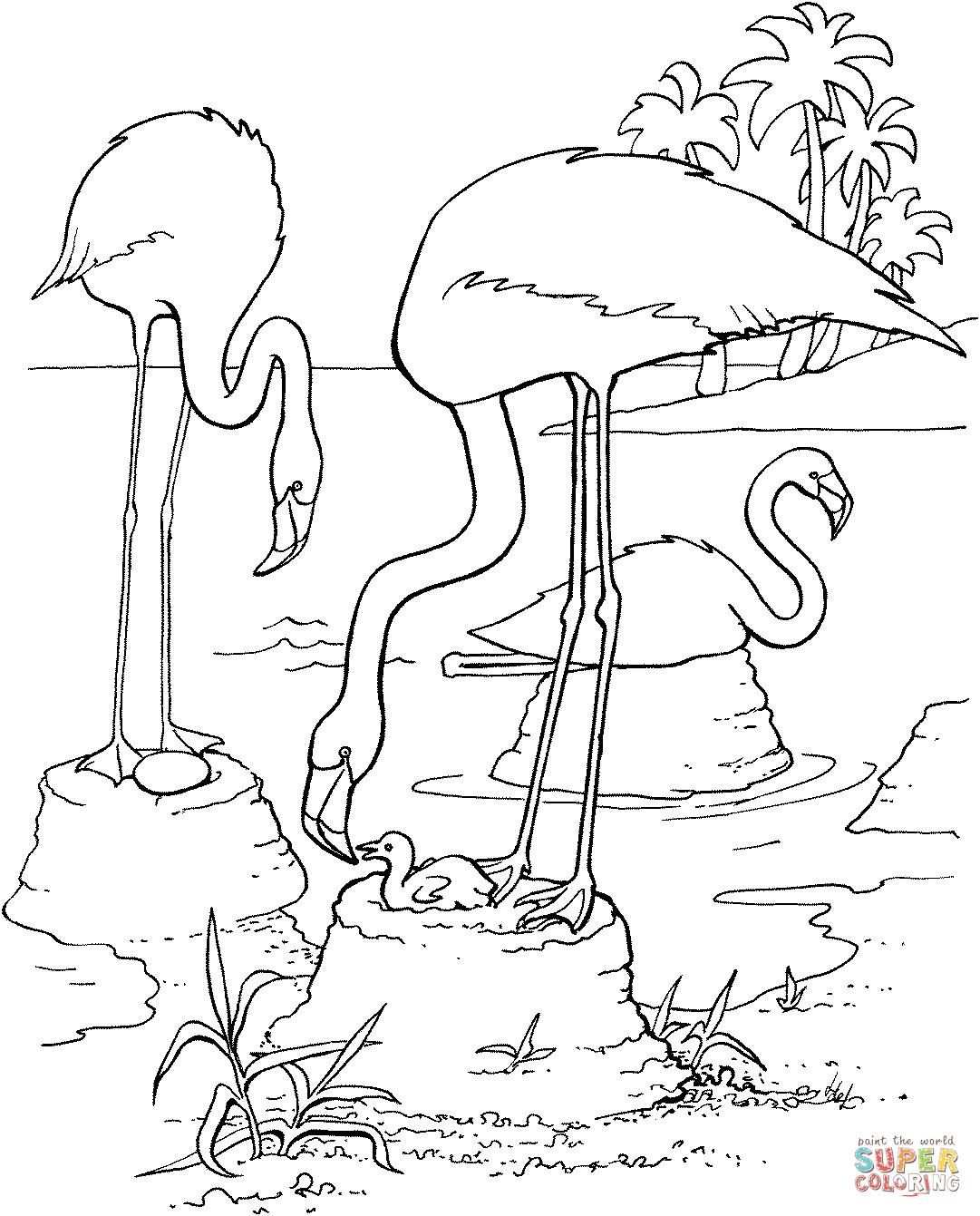Nice Coloring Page Flamingo That You Must Know You Re In Good