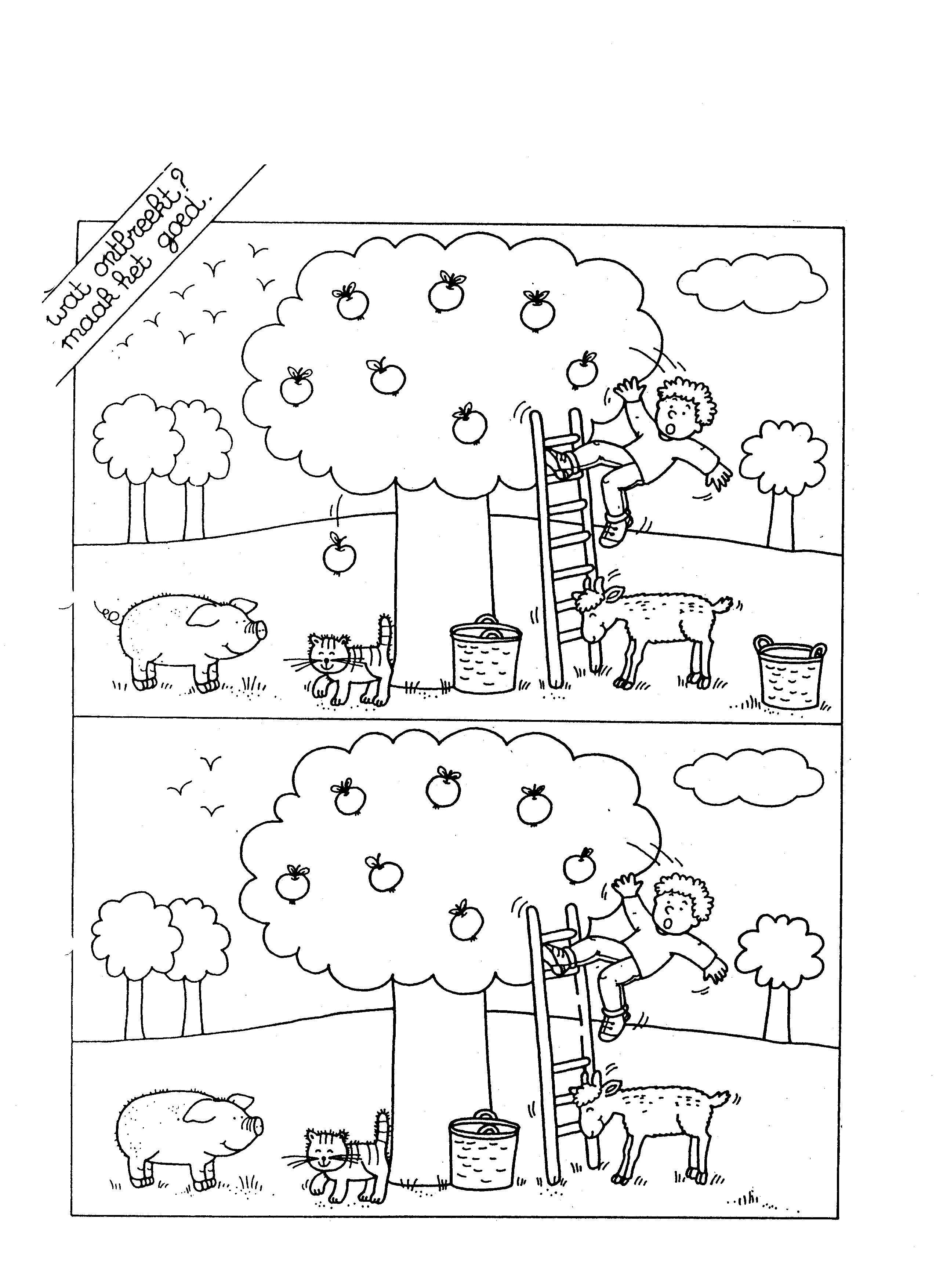 Appelboom Kleurplaat Met Afbeeldingen Kleurplaten Gratis