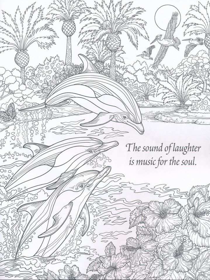 The Sound Of Laughter Nature Coloring Book For Adults Met