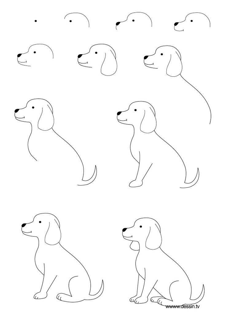 The Kids Will Love This How To Draw A Dog Step By Step
