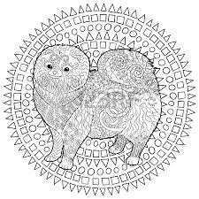 Featured image of post Kleurplaat Hond En Kat Moeilijk 65 hond en kat kleurplaat amazing coloriage