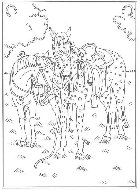 Icelandic Horse Outline Google Search Ijslander En Yoga Oefeningen