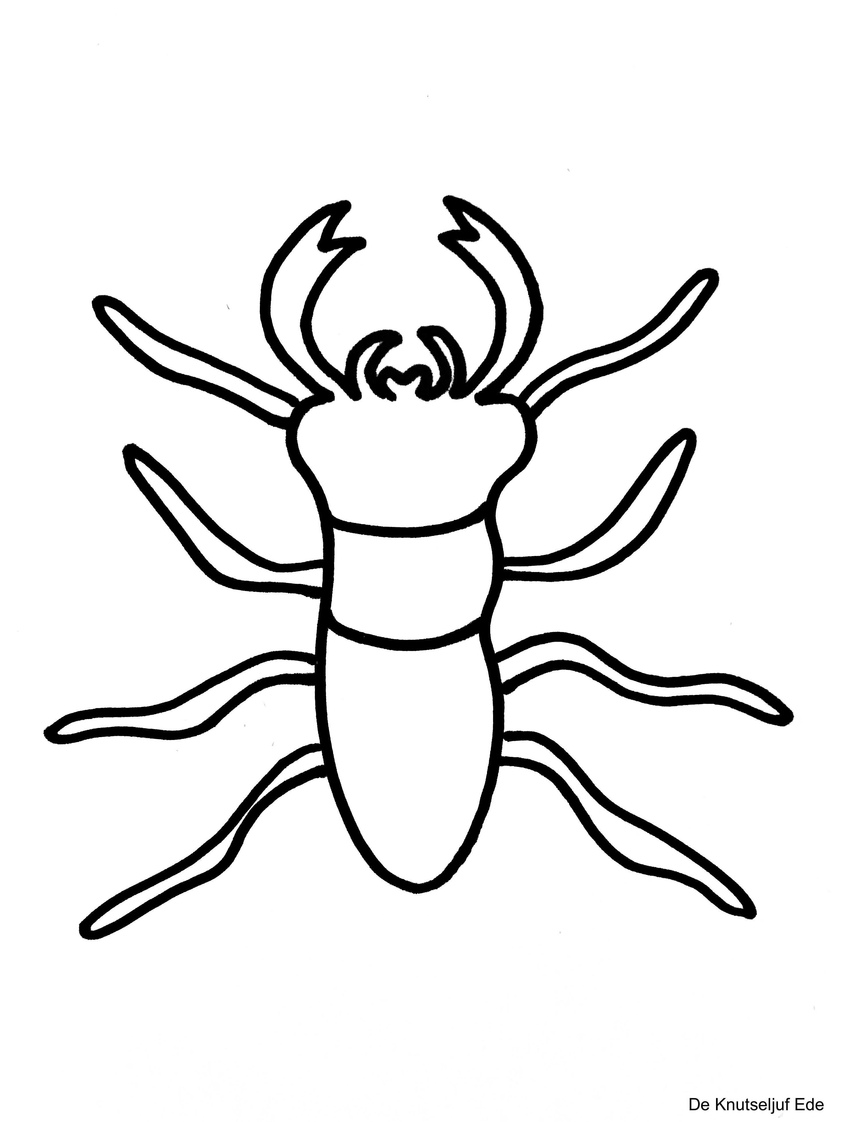 Kleurplaten Kriebelbeestjes Gratis Kleurplaat Insecten