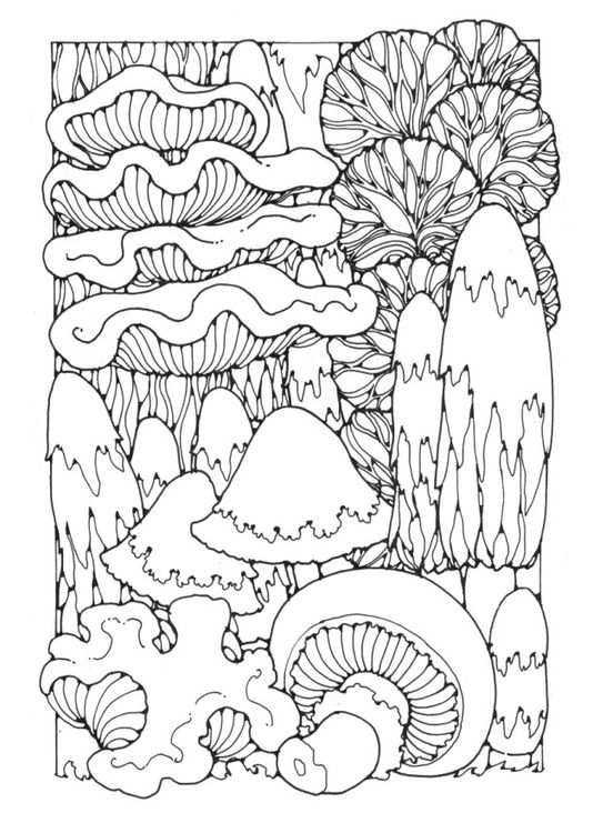Kleurplaat Paddenstoelen Coloring Page Mushrooms Adult Coloring