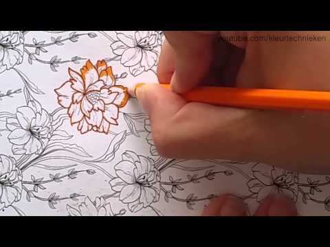 Bloemen Inkleuren Techniek 1 Kleuren Kleurplaten Bloemen