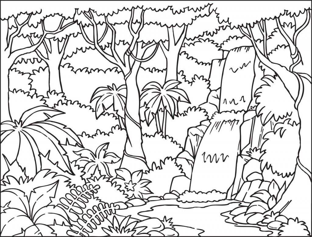 Tropical Rainforest Coloring Pages Color Jungle Coloring Book