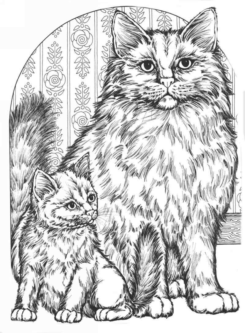 Realistic Big Cat Coloring Pages - pic-lard