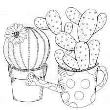 Edu Kids C D E: Kawaii Cute Cactus Coloring Pages / Succulents Outline