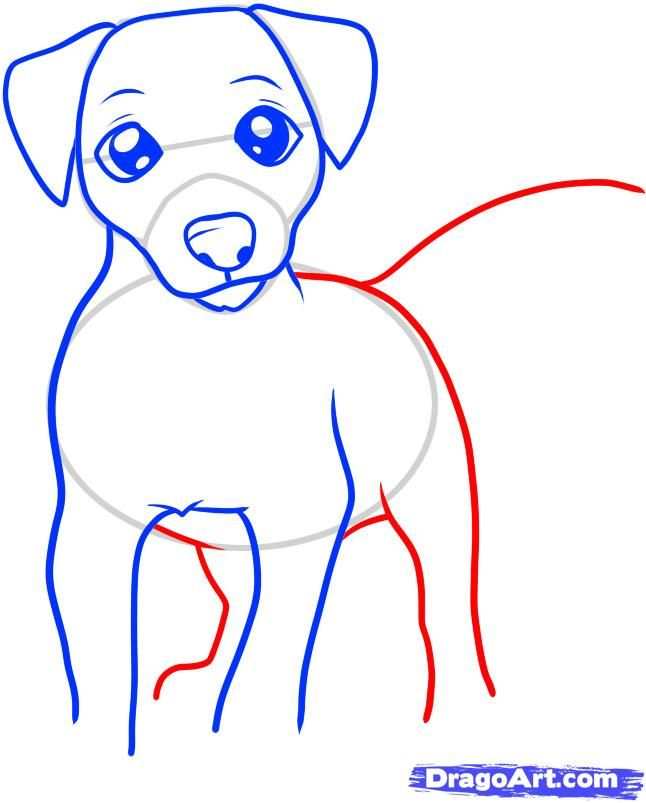 How To Draw A Jack Russell Terrier By Dawn Dieren Tekenen