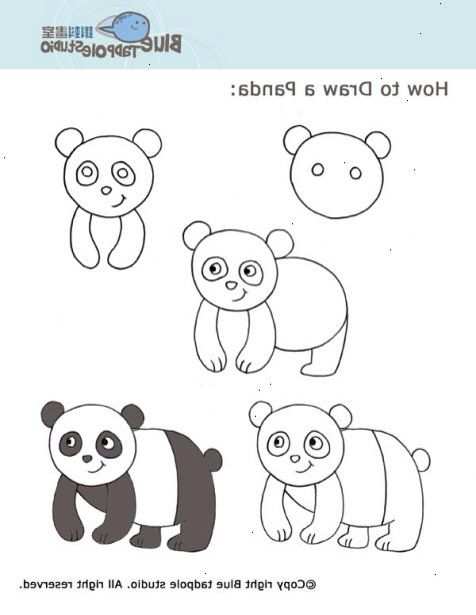 In Stappen Tekenen Dieren Tekenen Panda Tekening
