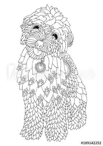Golden Doodle Hand Drawn Dog Sketch For Anti Stress Adult