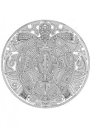 Gezonde Voeding Werkbladen Google Zoeken Kleurplaten Mandala