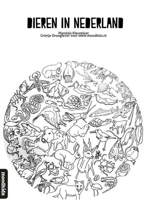 Mandala Dieren Kleurplaat Gratis Download Kleurplaten Dieren