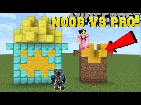 Minecraft Noob Vs Pro Build Battle With 3 Blocks Mini