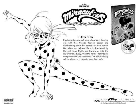 Noir Cat And Ladybug Coloring Pages With Images Ladybug