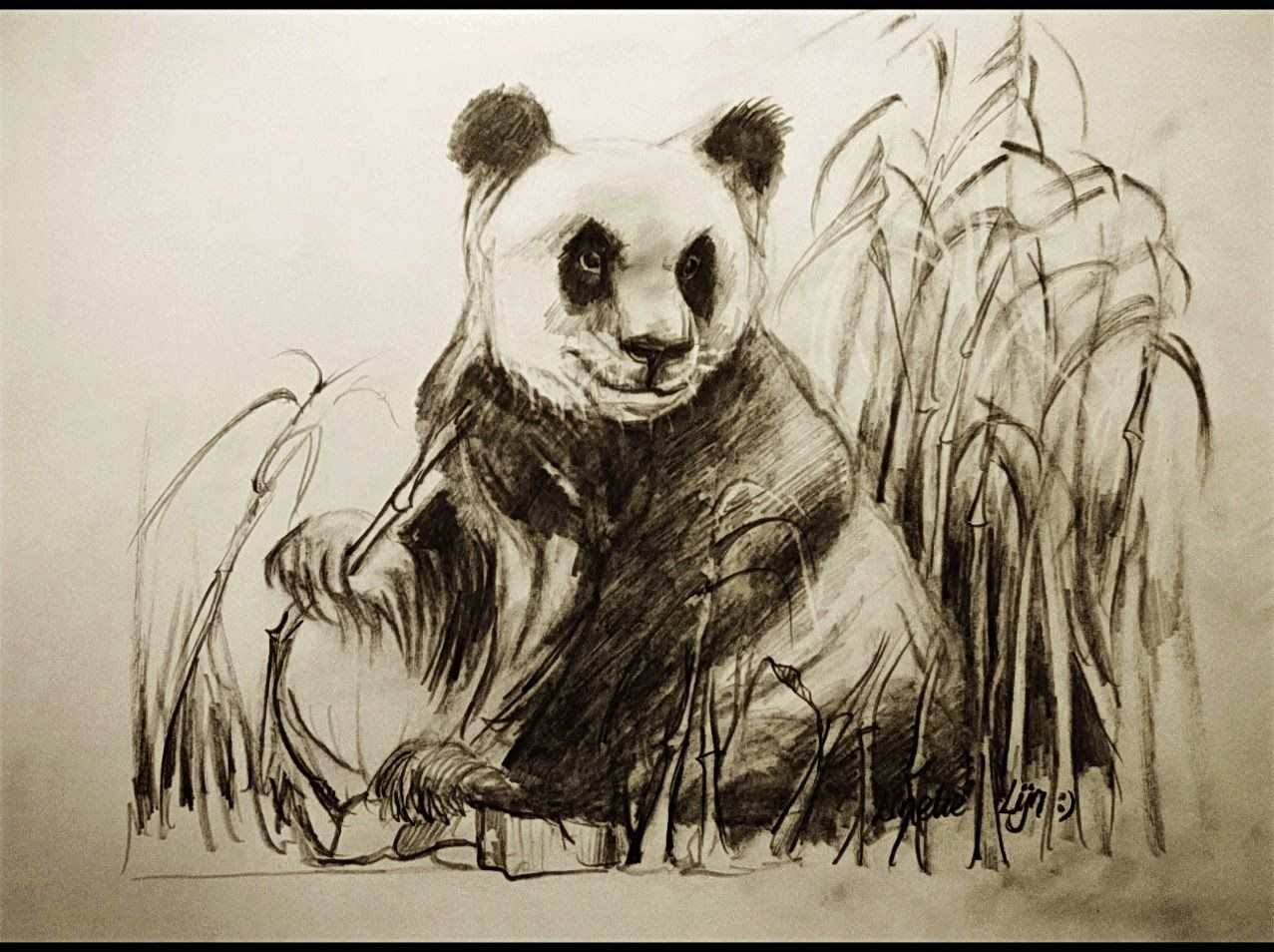 Hoe Teken Je Een Panda Dieren Tekenen 25 Dieren Tekenen