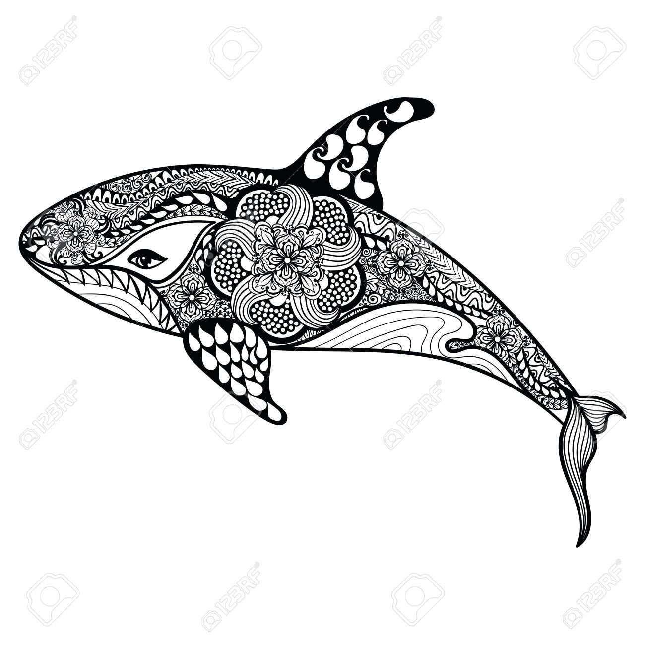 Stock Vector Delfin Dibujo Dibujos Y Pinturas