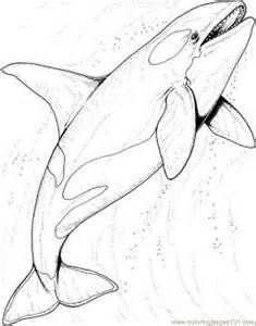 Coloring Pages Ocean Searchya Search Results Yahoo Image