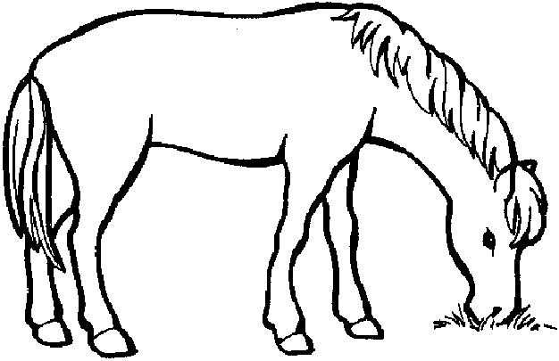 Unicorn Paard Kleurplaat Met Afbeeldingen Dieren Kleurplaten