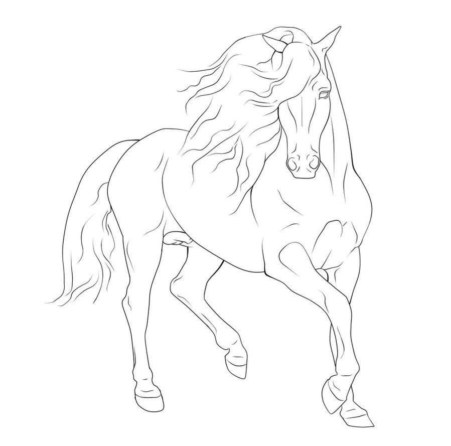 Coloring Page Horse Google Da Ara Dieren Tekenen Paard