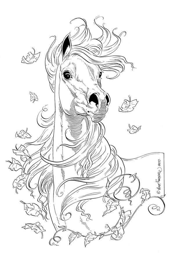 Lena Furberg Kleurplaten Paard Tekeningen Paarden
