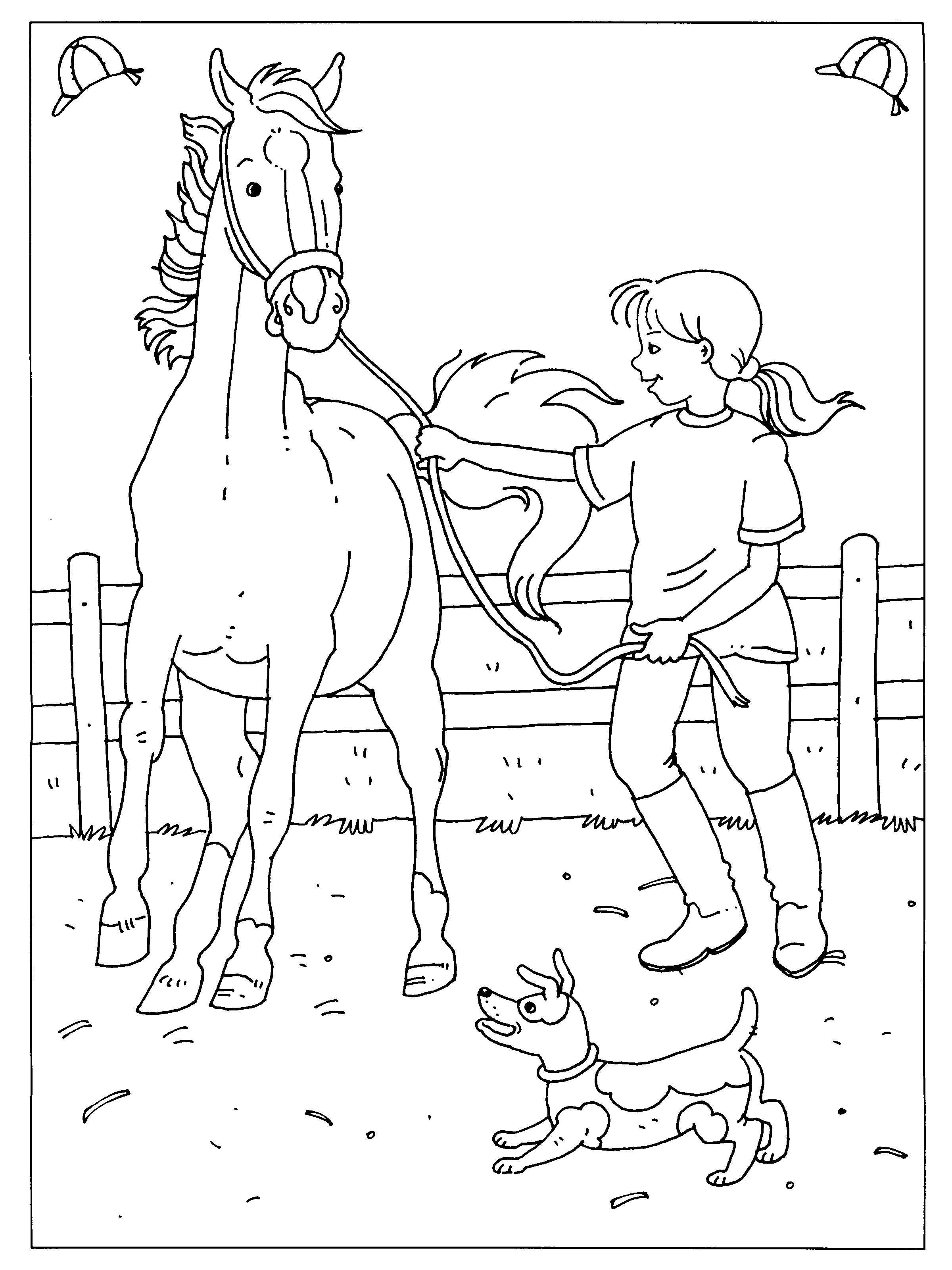 Kleurplaat Dressuur Wedstrijd Paard Dibujos Colorear Horse