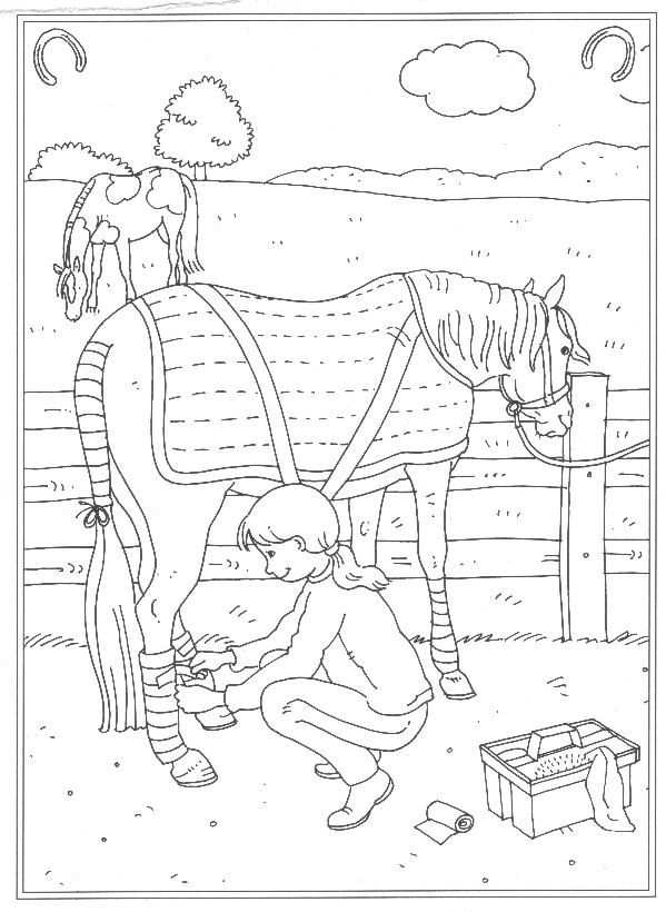 63 Kleurplaten Van Paarden With Images Horse Coloring Books