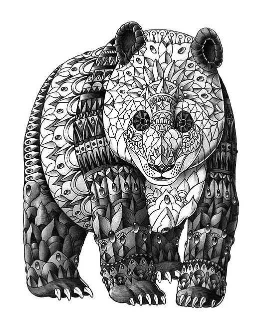 Panda Zentangle Coloring Pages Colouring Adult Detailed Advanced
