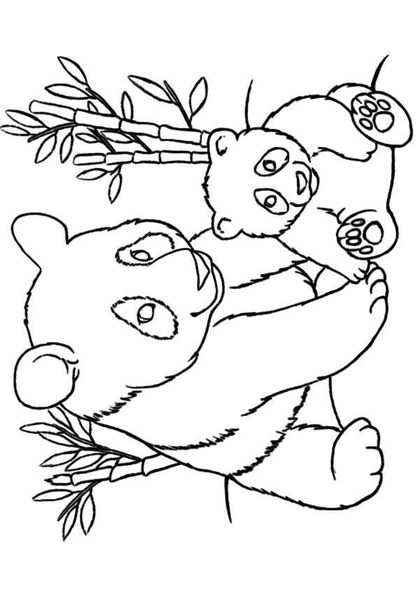 Kleurplaat Panda De Peuterklas Pinterest Panda And Stenciling