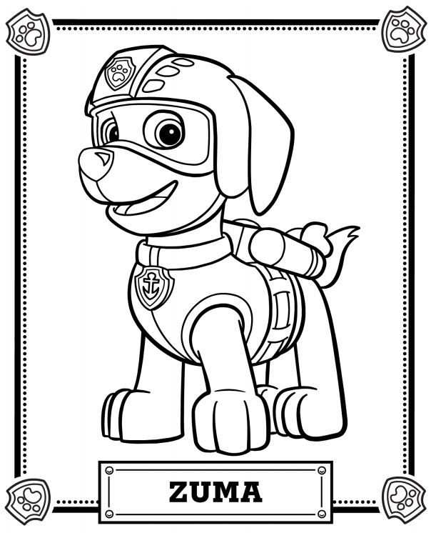 Paw Patrol Coloring Pages With Images Paw Patrol Coloring Paw