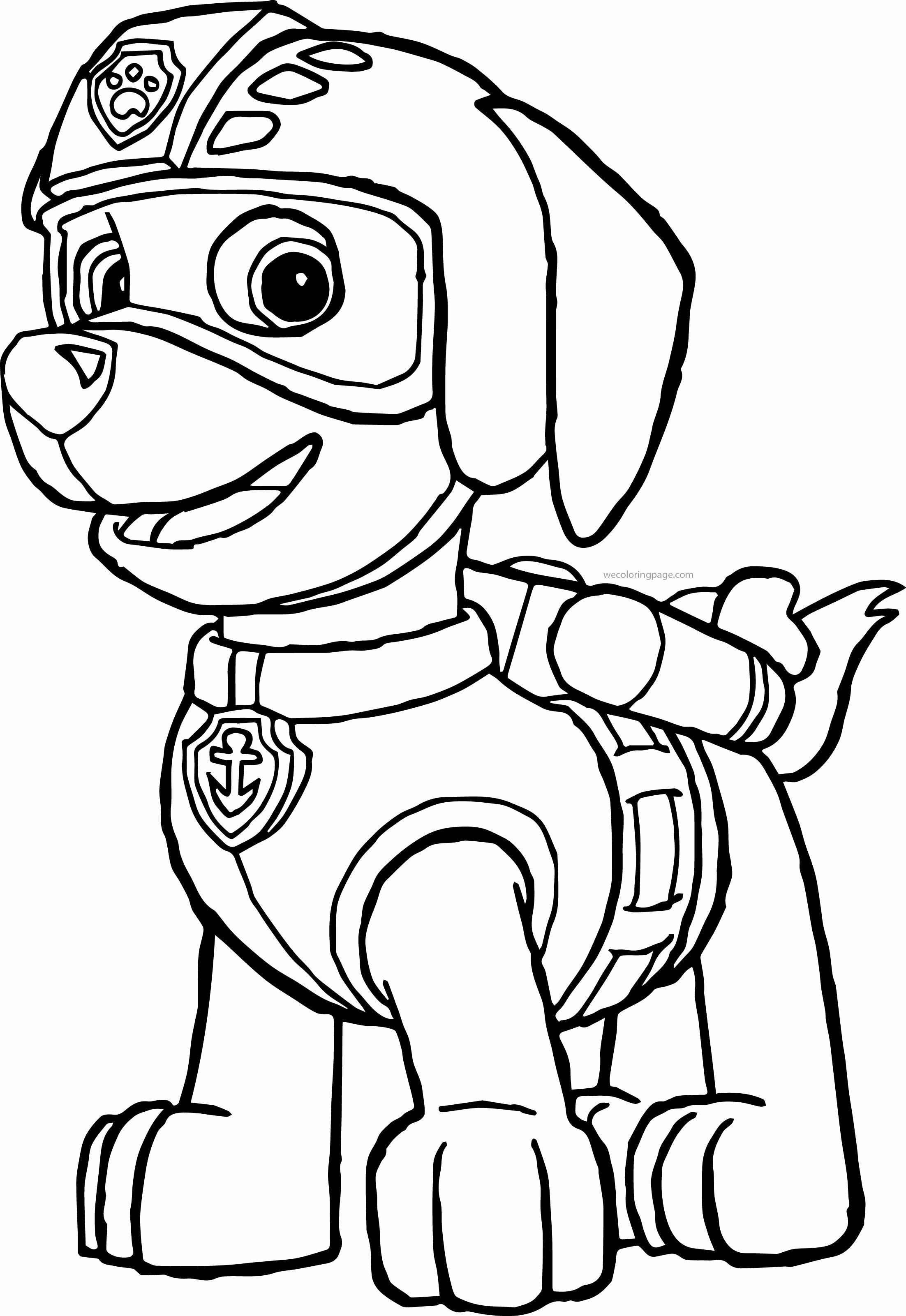 24 Rocky Paw Patrol Coloring Page In 2020 Paw Patrol Coloring