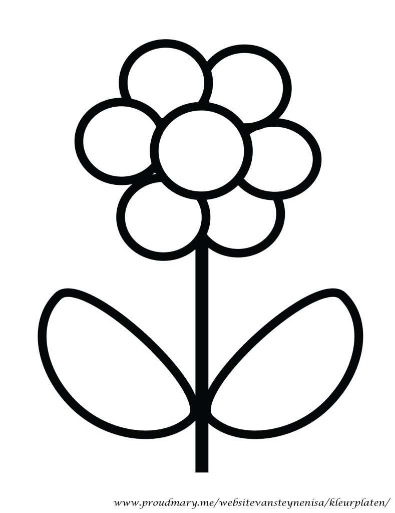 Kleurplaten Bloemen Kleurplaten Papieren Bloemen Knutselen