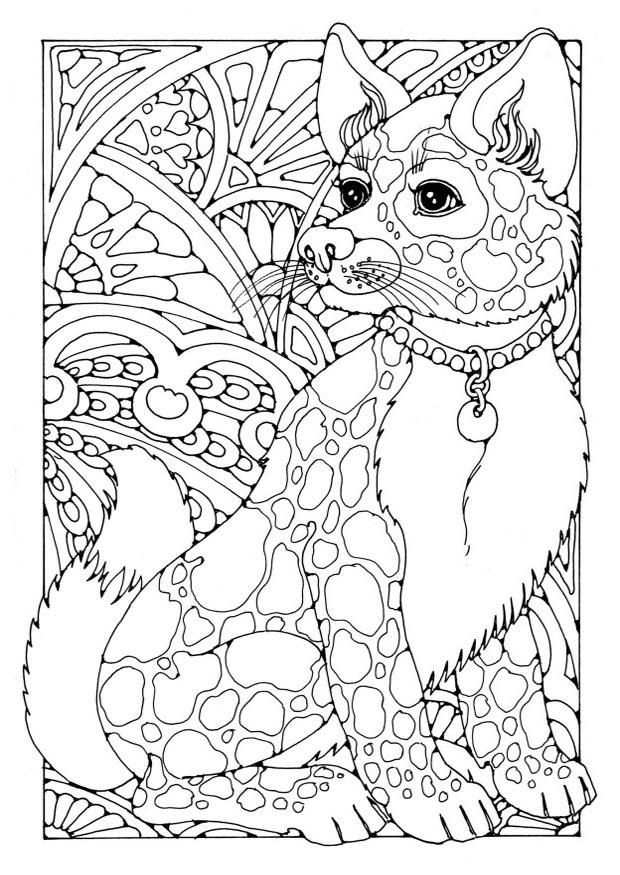 Kleurplaat Hond Dl18700 Jpg 620 875 Pixels Dog Coloring Page