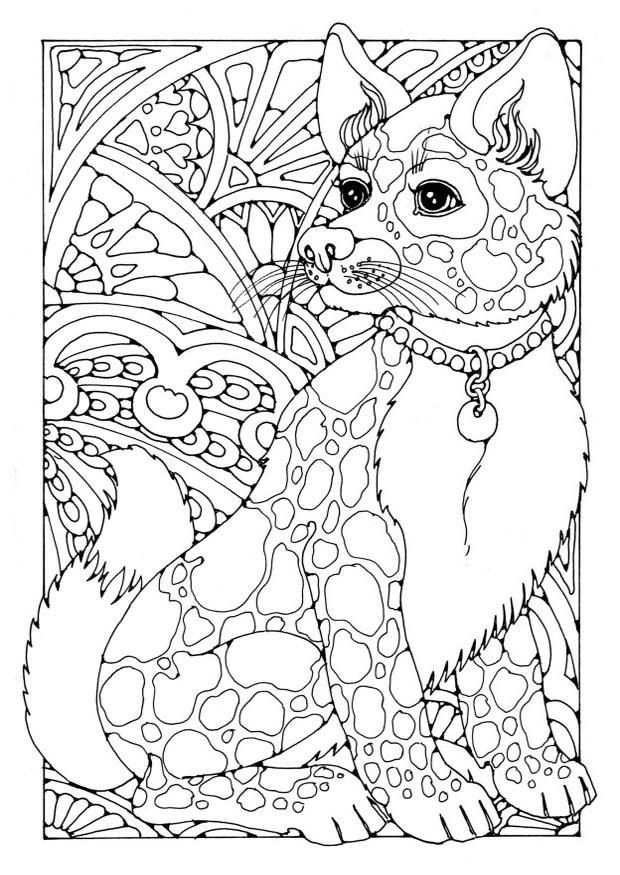 Coloring For Adults Kleuren Voor Volwassenen Dog Coloring Book